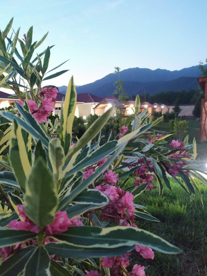 Bliss Inn Boutique Hotel Gabala Exterior photo